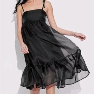 Wild Fable Black Sheer Dress